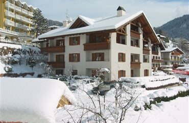Rezidence Stefenine *** - Molveno