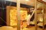 Rezidence Hotel Eden, Andalo   (28)