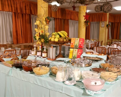 Hotel Splendid, Andalo  (5)