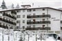 Hotel Splendid, Andalo  (10)