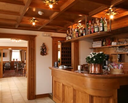 Hotel Des Alpes, Cortina (12)