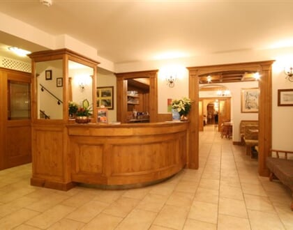Hotel Des Alpes, Cortina (13)