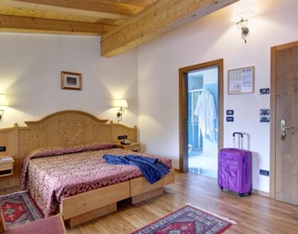Hotel Des Alpes, Cortina (6)