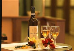 Jindřichův Hradec, Concertino - Wellness pobyt