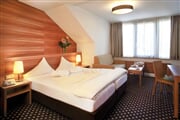 Bon Alpina hotel*** - Innsbruck 15