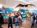 Haus der Natur 3