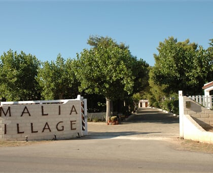Malia Village - Vieste (9)