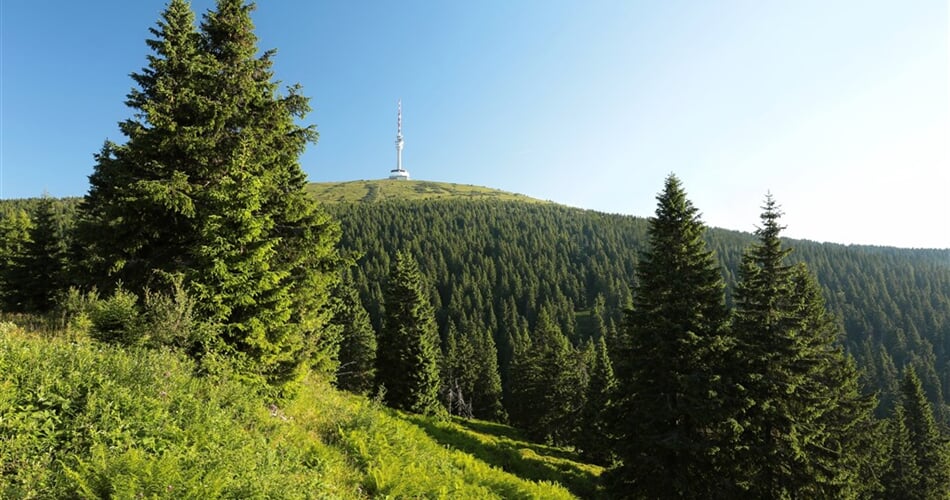 Poznávací zájezd Česko -  Praděd