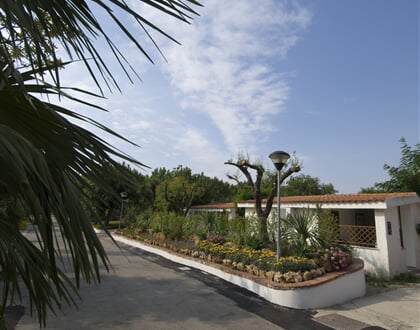 Villaggio Le Palme - Ascea Martina (7)