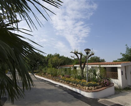 Villaggio Le Palme - Ascea Martina (7)