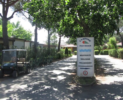 Camping Free Beach (3)