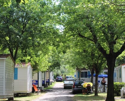 Camping Cisano San Vito (12)