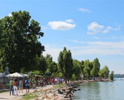 Camping Cisano San Vito (5)