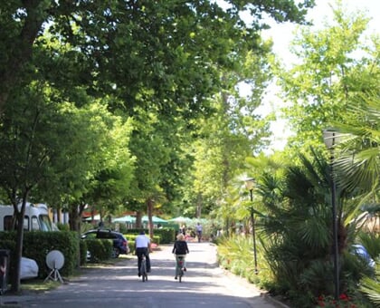 Camping Cisano San Vito (7)