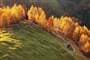 Transylvánské Alpy - shutterstock_74859505.jpg