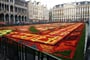 Belgie - Brusel, květinový koberec, vždy na svátek Nanebevzetí P.Marie