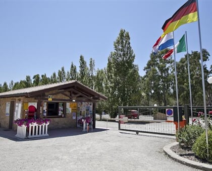 Camping Free Time (3)