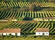 Erika tour-Wachau 5