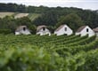 Erika tour-Wachau 12