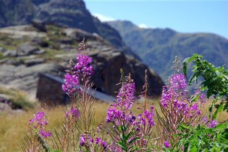 Andorra, srdce Pyrenejí 2025