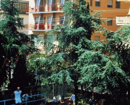 Hotel Minerva, Pietra Ligure (11)