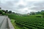 Francie - Akvitánie - v okolí St.Emilion převládá odrůda Merlot, doplněná Cabernetem Sauvignon, Malbecem a Cabernetem Franc   foto Pavel Michal