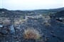 Itálie - Sicílie - Etna, nesmělé pokusy pionýrských rostlin vyrůst na lávě