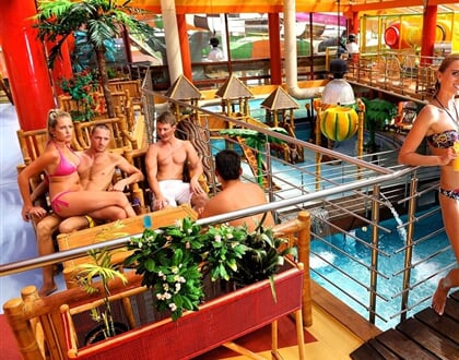 658_tropic