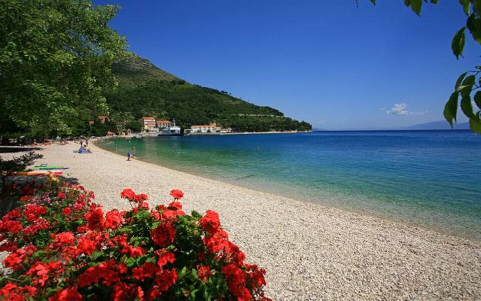32_Villa ELSA