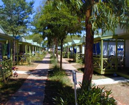 camping free beach (3)