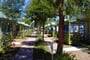 camping free beach (3)