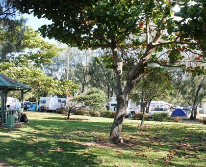 camping free beach (5)