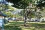 camping free beach (5)
