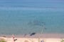 Apartmány Borgo Spiaggia, Isola Rossa (22)