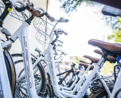 biciclette