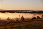 fogged-in-1387782