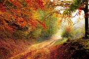 road-1072823_1920