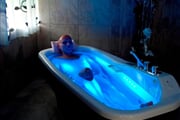 11 img_02401024x768