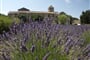 Francie - Provence - St.Paul de Mausolée, jak lehce se vcítíš do Goghových obrazů