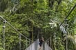 lanový most v horském lese Monteverde