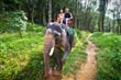 jízda na slonech v NP Khao Sok
