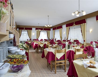 Hotel Aida, Pozza di Fassa (12)