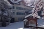 Hotel Villa Rosella, Campitello (9)