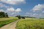 field 175959 1920