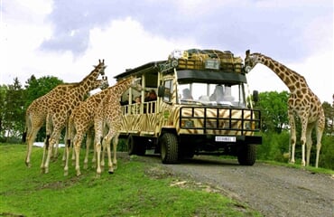 2-denní Safari, Serengeti Park (ZÁJ)