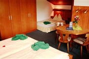 hotel*** Berghof - Mitterberg 09