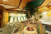 Hotel**** Holzknecht - Neustift - Stubai 04