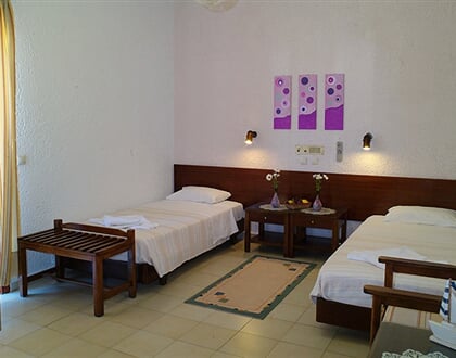 ALTIS (6)