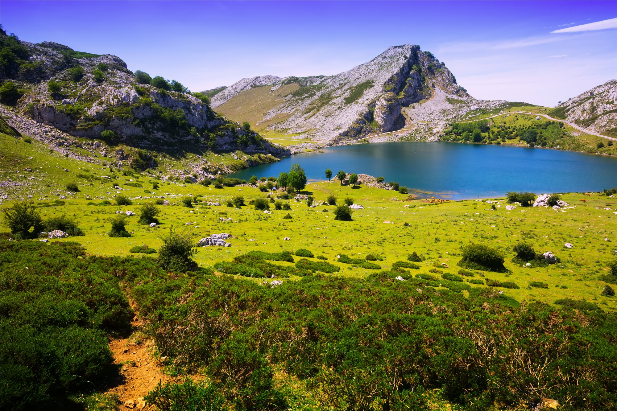 Asturie_Enol_lake_Asturias_dreamstime_xl_62166683