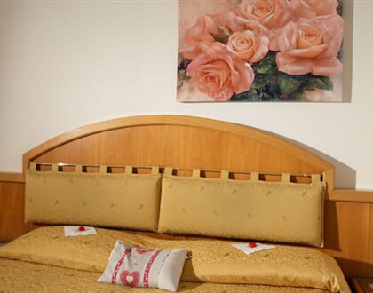 Nové foto htl. Alexander Molveno  (6)